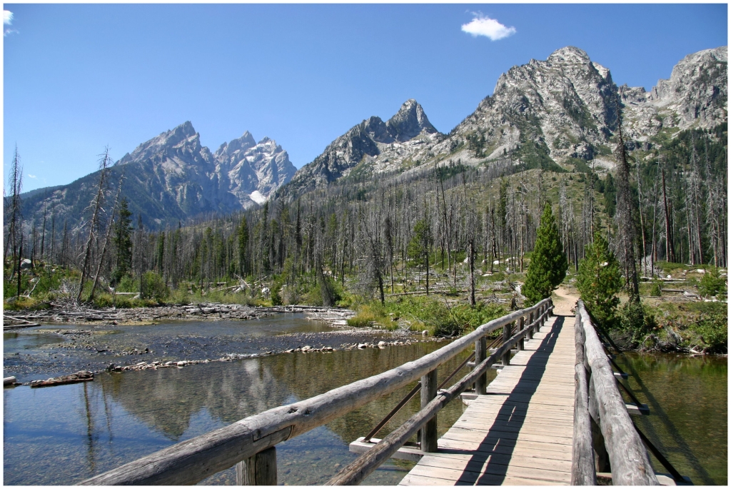 01 - Grand teton NP (21).jpg